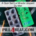 À Quoi Sert Le Miracle Léopard Du Miel new04